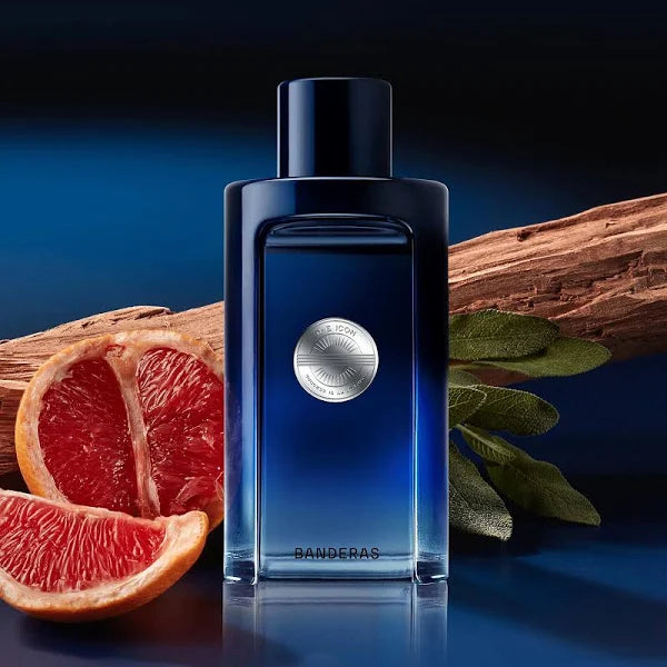 ICON DE ANTONIO BANDERAS 100 ML HM EDP