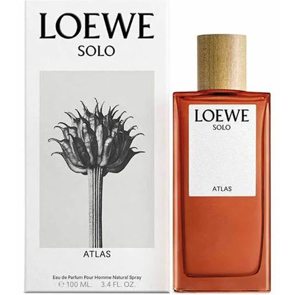 LOEWE SOLO ATLAS 100 ML EDP HM