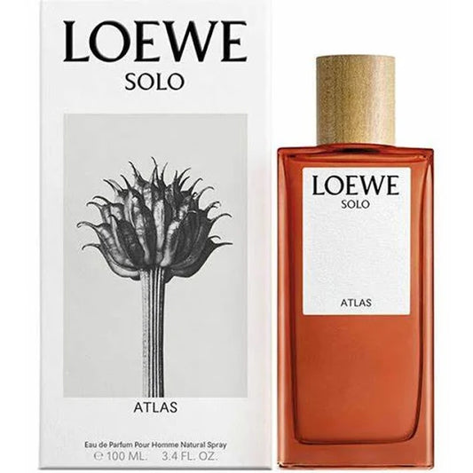 LOEWE SOLO ATLAS 100 ML EDP HM